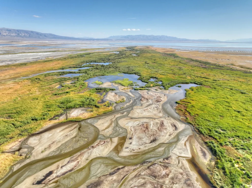 Aerial view of a winding river, managed by the Inyo County Water Department, flowing through green wetlands and dry plains under a clear blue sky.
