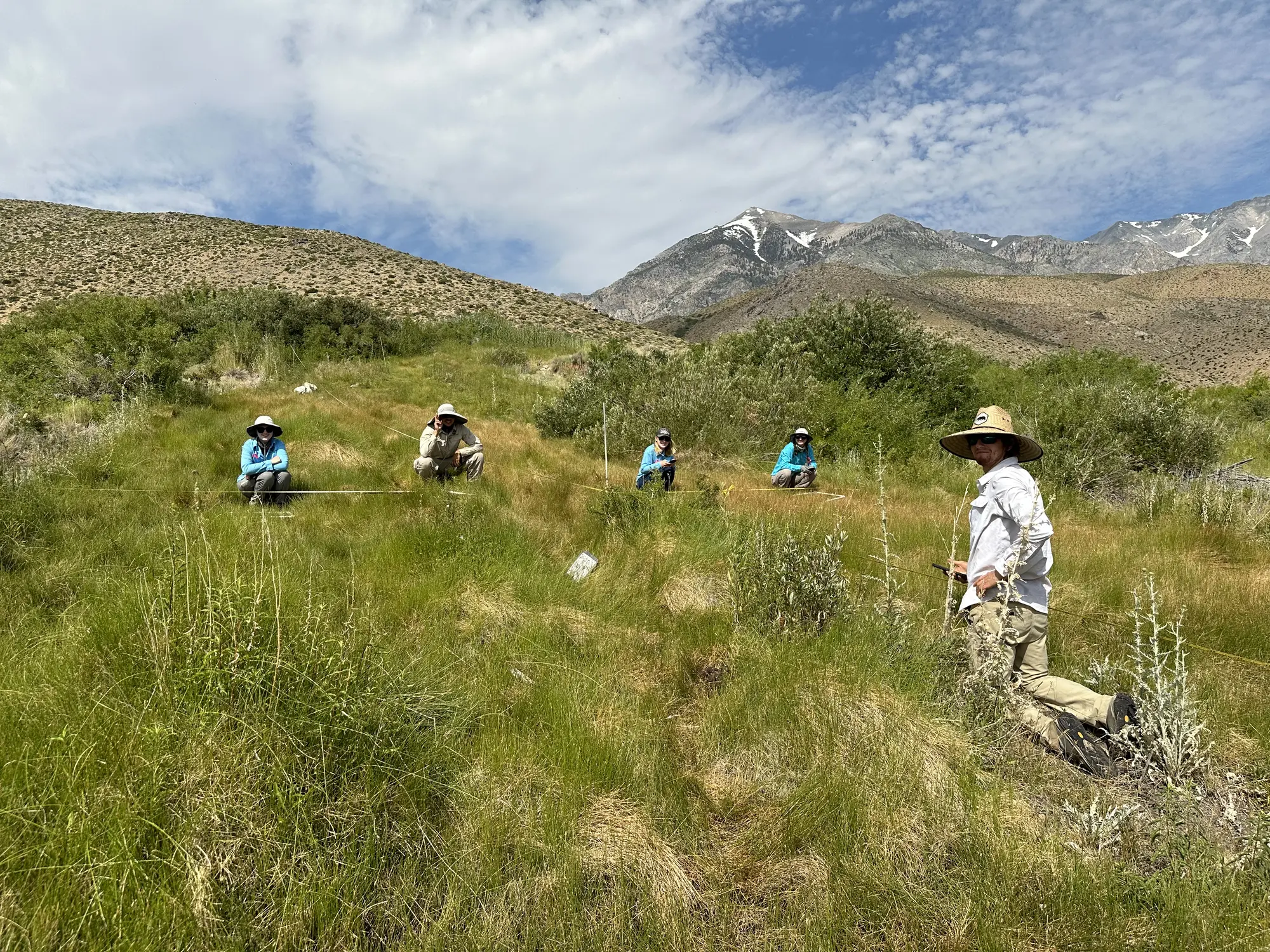 Spring_seep_crew Five people in sun hats conduct fieldwork in grassy hills with mountains and blue sky in the background.