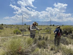 Two people in hats work with scientific equipment in a sunny, grassy field with mountains in the background.