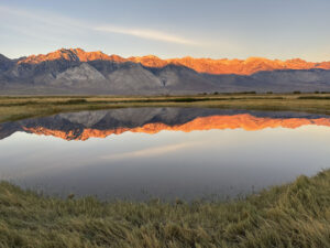 Snow-capped mountains at sunrise reflected in a still lake, with grassy fields in the foreground.