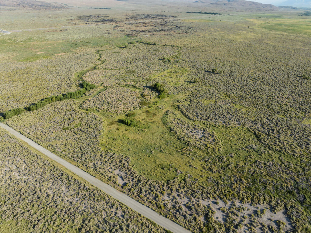Aerial view of a green, grassy patch and shrubs in a wide, dry landscape with a road in the foreground.